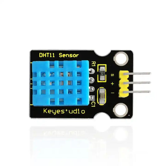 DHT11 Temperature and Humidity Sensor